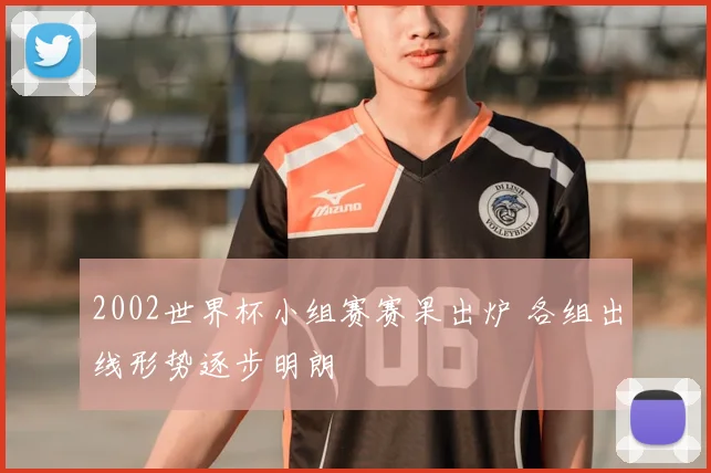 2002世界杯小组赛赛果出炉 各组出线形势逐步明朗