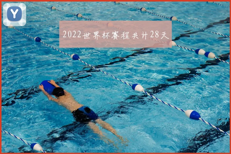 2022世界杯赛程共计28天