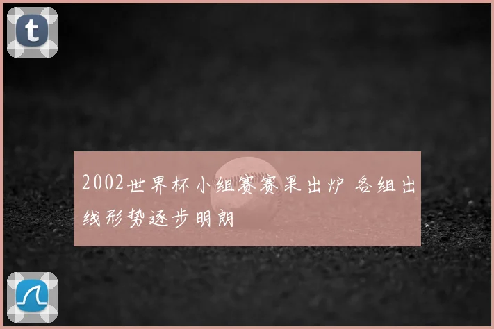 2002世界杯小组赛赛果出炉 各组出线形势逐步明朗