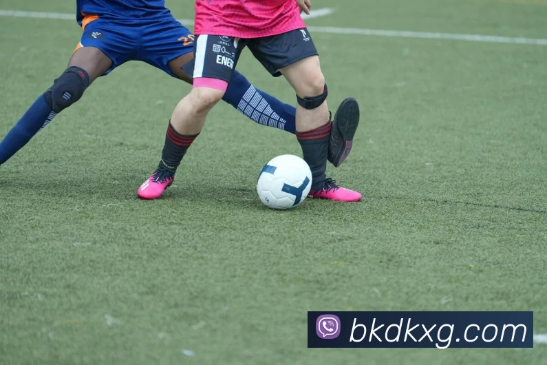 体育App